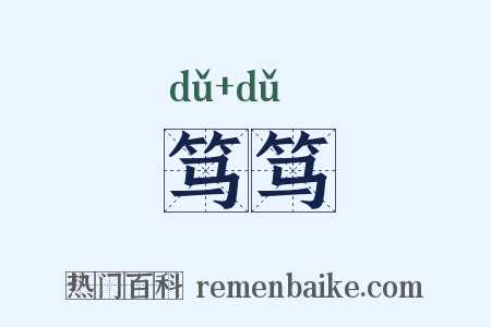 笃笃是什么意思的图片